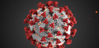 Preparing for a pandemic (Coronavirus) induced recession Preparing for Coronavirus induced pandemic recession